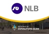 NLB Group - ONLINE Regionalni zaposlitveni sejem