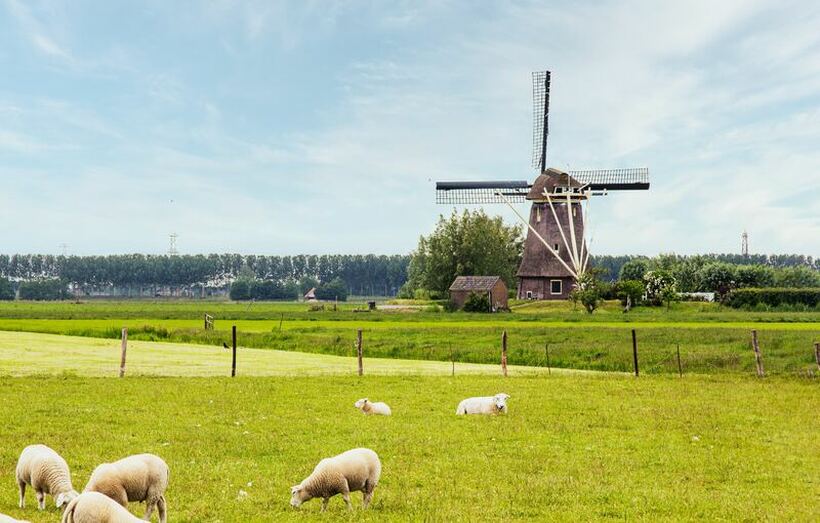 Življenje in delo v tujini: Nizozemska